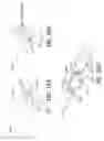 Fig. 23 - Cannula for minimizing dilution of dosing during nitric oxide delivery
