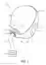 Fig. 02 - Patient interface device and maintaining apparatus and maintaining member therefor