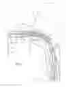 Fig. 09 - System for providing flow-targeted ventilation synchronized to a patient's breathing cycle