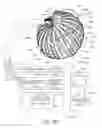 Fig. 05 - Medical device systems and methods including safety release, lumen fluid-providing mechanisms, or both