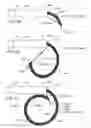 Fig. 12 - Medical device systems and methods including safety release, lumen fluid-providing mechanisms, or both