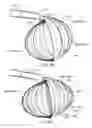 Fig. 16 - Medical device systems and methods including safety release, lumen fluid-providing mechanisms, or both