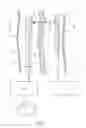 Fig. 02 - DEVICES AND METHODS FOR TREATING LOWER EXTREMITY VASCULATURE