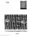 Fig. 16 - Transdermal delivery of high viscosity bioactive agents