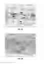 Fig. 19 - Transdermal delivery of high viscosity bioactive agents
