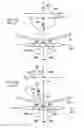 Fig. 07 - Apparatus and method using near infrared reflectometry to reduce the effect of positional changes during spinal cord stimulation