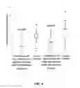 Fig. 05 - SYSTEM AND METHOD FOR PREVENTING MUSCLE FATIGUE