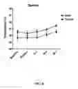 Fig. 09 - SYSTEM AND METHOD FOR PREVENTING MUSCLE FATIGUE