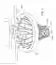 Fig. 03 - BASKETBALL NET DEVICE AND IMPROVEMENTS THEREIN