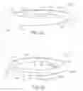 Fig. 06 - BASKETBALL NET DEVICE AND IMPROVEMENTS THEREIN