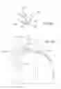 Fig. 09 - BASKETBALL NET DEVICE AND IMPROVEMENTS THEREIN