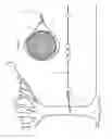 Fig. 12 - INDOOR/OUTDOOR SWING TRAINER