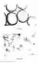 Fig. 04 - Self-healing material and preparation process thereof