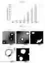 Fig. 22 - Lipid membrane structure, lipid-membrane-structure-immobilization carrier, and method of fusing vesicles