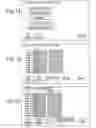 Fig. 07 - Multiple identification point automated parameter assurance method