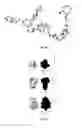 Fig. 45 - Separations with organic molecular solids