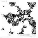 Fig. 02 - HOLLOW METAL NANOPARTICLE, CATALYST INCLUDING SAME, AND METHOD FOR MANUFACTURING HOLLOW METAL NANOPARTICLE