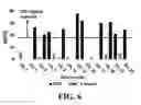 Fig. 10 - Isolation and detection of circulating tumor cells (CTCs)