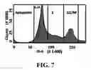 Fig. 11 - Isolation and detection of circulating tumor cells (CTCs)