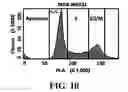 Fig. 14 - Isolation and detection of circulating tumor cells (CTCs)