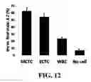 Fig. 19 - Isolation and detection of circulating tumor cells (CTCs)