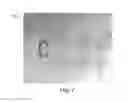 Fig. 08 - Manipulation of fluids, fluid components and reactions in microfluidic systems