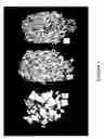 Fig. 02 - MULTIPASS ROTARY SHEAR COMMINUTION PROCESS TO PRODUCE PLANT BIOMASS PARTICLES