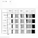Fig. 07 - PRINTING PAPER, METHOD FOR MANUFACTURING PRINTING PAPER, APPARATUS FOR MANUFACTURING PRINTING PAPER, PRINTING METHOD, AND PRINTING SYSTEM