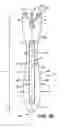 Fig. 04 - Razor handle comprising an insert freely movable within a cavity and razor comprising such a razor handle