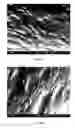 Fig. 16 - Material systems and methods of manufacture for auxetic foams