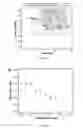 Fig. 22 - Material systems and methods of manufacture for auxetic foams