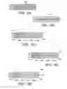 Fig. 05 - Articles of wear and processes for making the same