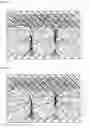 Fig. 02 - Hot press cushioning material and manufacturing method thereof