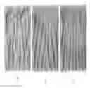 Fig. 12 - High height ink jet printing