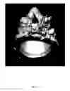 Fig. 04 - SYSTEM AND METHOD FOR FABRICATING ARTWORK AND DECORATIVE ARTICLES WITH MOLDED CANNABIS PLANT PARTS
