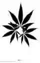 Fig. 09 - SYSTEM AND METHOD FOR FABRICATING ARTWORK AND DECORATIVE ARTICLES WITH MOLDED CANNABIS PLANT PARTS