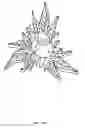 Fig. 22 - SYSTEM AND METHOD FOR FABRICATING ARTWORK AND DECORATIVE ARTICLES WITH MOLDED CANNABIS PLANT PARTS