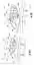 Fig. 37 - Rearview mirror assembly for vehicle