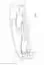 Fig. 03 - Bumper assembly including lower leg stiffener