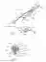 Fig. 02 - Heated windshield wiper assembly