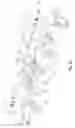 Fig. 26 - Snow vehicle