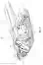 Fig. 34 - Snow vehicle
