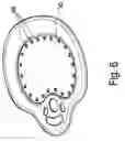 Fig. 07 - RECLOSABLE TEAR-OPEN LID