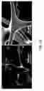 Fig. 02 - MATERIALS, APPARATUSES, AND METHODS FOR SEPARATING IMMISCIBLE LIQUIDS
