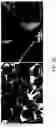 Fig. 05 - MATERIALS, APPARATUSES, AND METHODS FOR SEPARATING IMMISCIBLE LIQUIDS