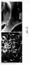 Fig. 06 - MATERIALS, APPARATUSES, AND METHODS FOR SEPARATING IMMISCIBLE LIQUIDS