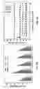 Fig. 11 - MATERIALS, APPARATUSES, AND METHODS FOR SEPARATING IMMISCIBLE LIQUIDS