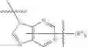Fig. 58 - Factor IXa inhibitors