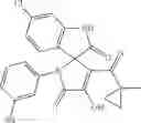Fig. 24 - COMPOUNDS COMPRISING 1,1a,2,5a-TETRAHYDROSPIRO[INDOLE-3,2a-PYRROLE]-2,5a-DIONE SYSTEM AS INHIBITORS P53-MDM2 PROTEIN-PROTEIN INTERACTION