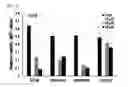 Fig. 08 - Compound for inhibiting binding between DX2 protein and P14/ARF protein, and pharmaceutical composition for treating or preventing cancer disease containing same as effective ingredient
